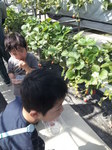 20150427_135934.jpg