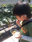 20150427_140652.jpg