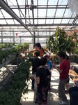 20150427_140707.jpg