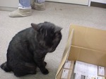 20100402145519.jpg