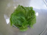 DSCN1586.jpg