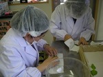 DSCN1589.jpg
