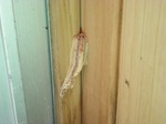 DSCN1808.jpg