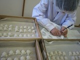 IMG_7968.jpg