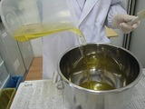 IMG_8070.jpg