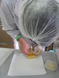 IMG_8089.jpg