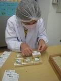 IMG_8376.jpg