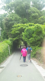 170531_103728.jpg