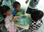 DSC01339.jpg