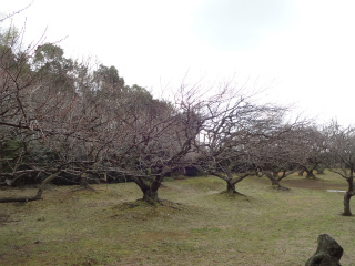 sDSC00327.jpg