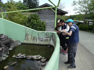 sDSC00403.jpg