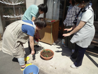 sDSC00427.jpg