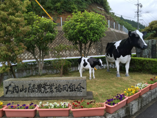 sIMG_0173.jpg
