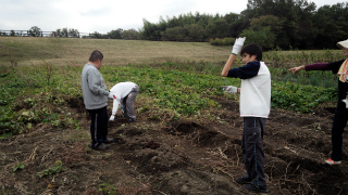 sIMG_20141105_143855.jpg
