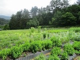IMG_0128.jpg