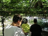IMG_0671.jpg