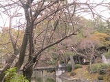 IMG_1412.jpg