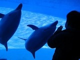IMG_2783.jpg
