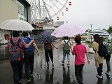 IMG_3239.jpg
