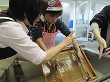IMG_3355.jpg