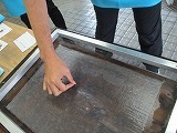 IMG_3356.jpg