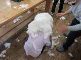 IMG_3389.jpg