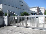 IMG_4228.jpg
