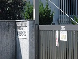 IMG_4229.jpg
