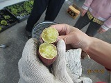 IMG_4526.jpg