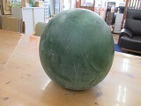 IMG_5554.jpg