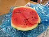 IMG_5570.jpg