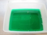IMG_5574.jpg