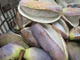 IMG_5721.jpg
