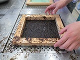 s-IMG_3801.jpg