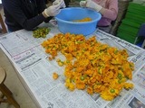 s-P1090297.jpg