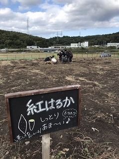 1605677804475.jpg
