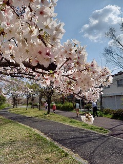 20210402_143714.jpg