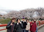 4.2hanami6.jpg