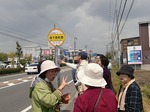 桃春.jpg
