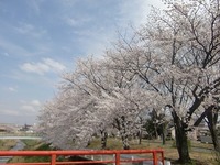 CIMG0249.jpg