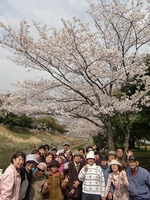 CIMG0272.jpg