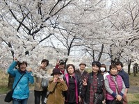 CIMG0285.jpg