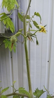 DSC_1118.jpg