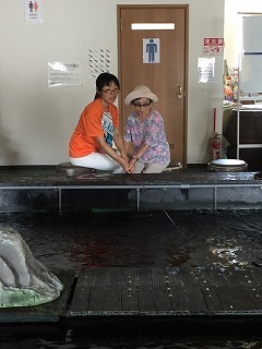 IMG_0717.jpg