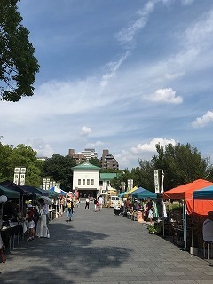 IMG_1165.jpg