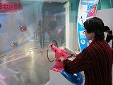 IMG_1921.jpg