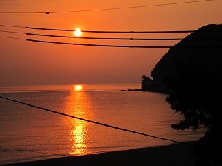 IMG_2245.jpg