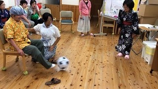 IMG_3340.jpg
