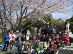 hanami2.jpg