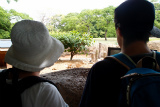 sP6241270.jpg
